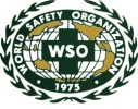 world safety org logo